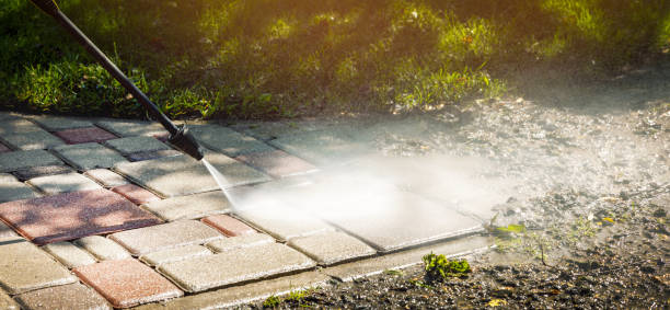 Best Driveway Pressure Washing  in Palmetto Estates, FL